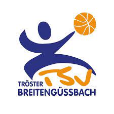 TSV TROESTER BREITENGUESSBACH Team Logo